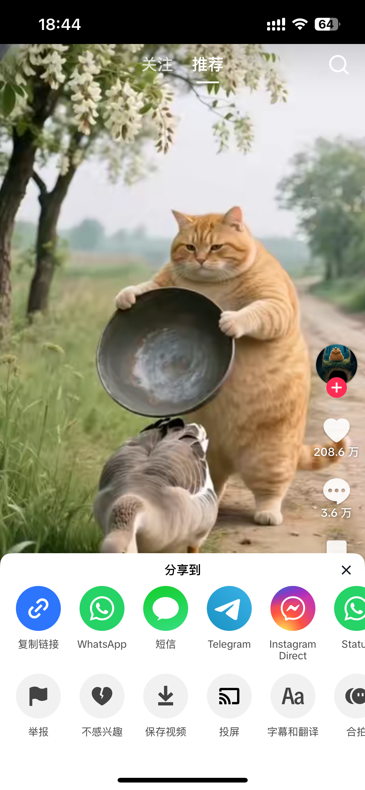 Место для скриншота: Кнопка "Поделиться" и "Копировать ссылку" в приложении TikTok