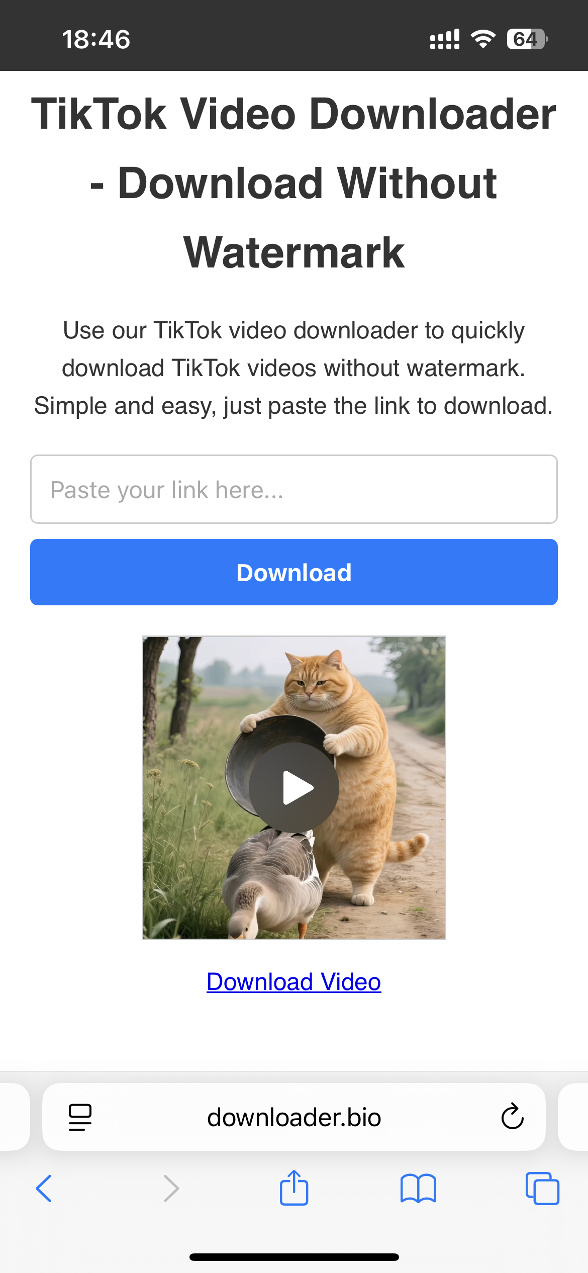 Место для скриншота: Варианты загрузки на Downloader.bio, включая "Без водяного знака".